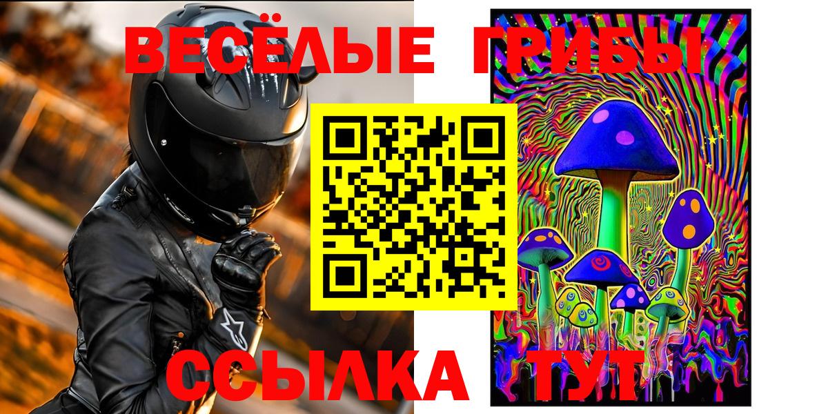 Псилоцибиновые грибы Psilocybe  сколько стоит  Звенигород  Вход с VPN  Псилоцибиновые грибы мицелий 